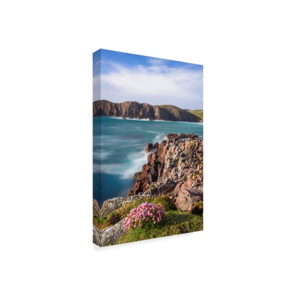 Michael Blanchette Photography 'Boulders And Wildflowers' Canvas Art,22x32